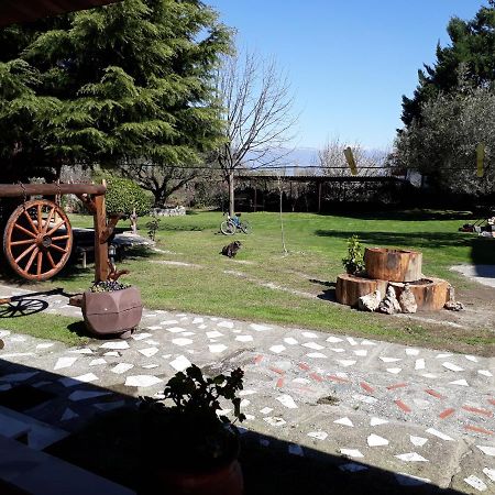 Ferienwohnung Galini Káto Loutrákion Exterior foto